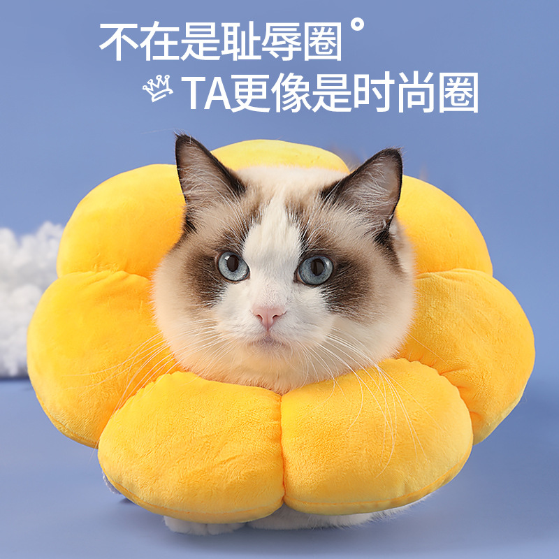 Amarillo girasol cuello Elizabeth anillo gato anti-lamer anti-morder collar multi-función collar vergüenza anillo