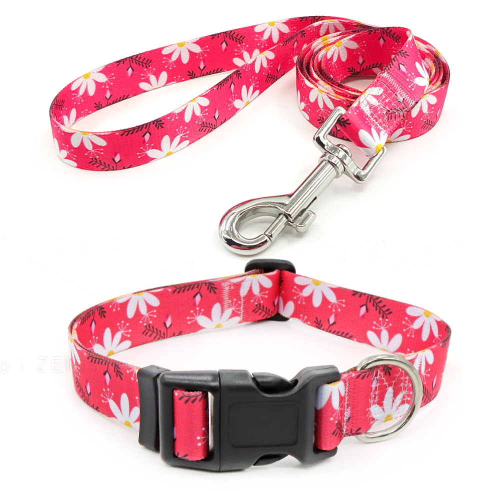 Amazon al por mayor collar de mascota corda de tracción al aire libre paseo perro collar perro collar en el viento