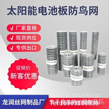 丝网生产厂家现货供应专业出口钢丝网铁丝网热镀锌丝网大量现货