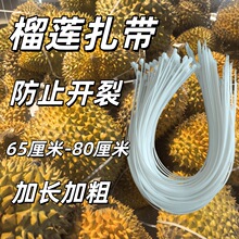 ��ɏ�������L650mm���������������L800mm�ڰ�ɫ��ɏ�����S�����l