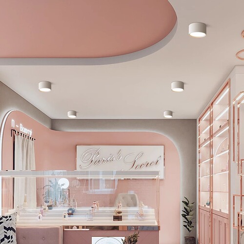 Full-spectrum anti-glare surface-mounted downlights, ceiling lights, spotlights, foyer and entryway lamps, as well as entrance, balcony, corridor, and pathway lights.