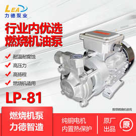 LP-81不锈钢高压泵  LEADPUMP 燃烧机泵 甲醇泵 燃烧机油泵