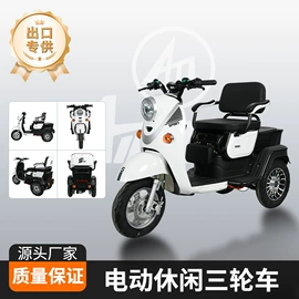 电动三轮车;两轮摩托车;电动摩托车