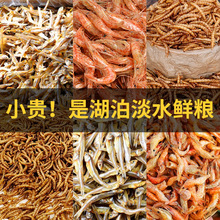 ���Z��ˮ�r�ɟo�}�~������xС��������{�����������������r��ʳ