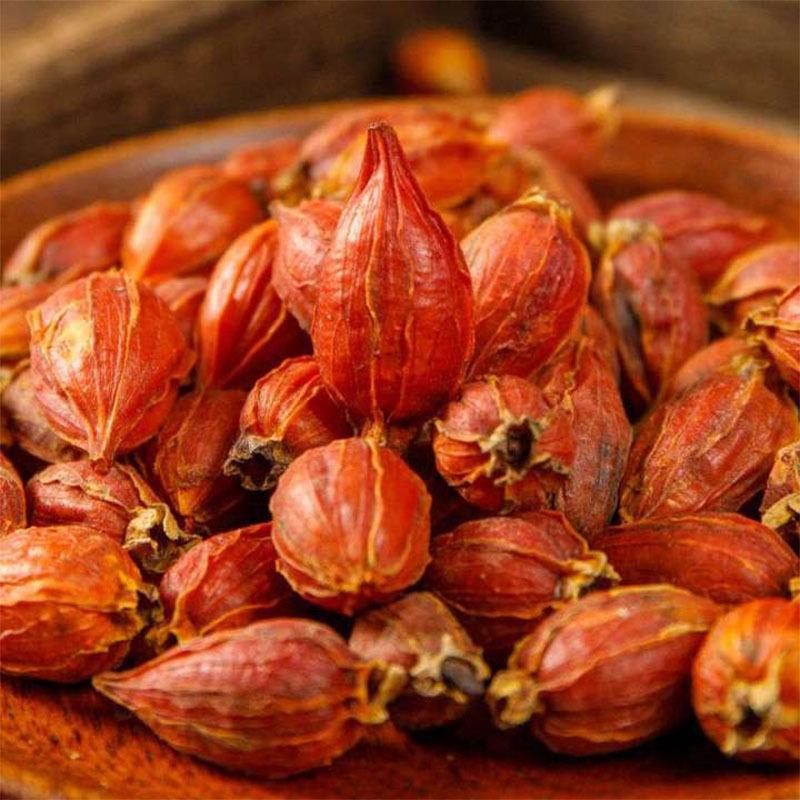 Shan Zhi Zi Dried Fruit (Gardenia jasminoides) — Jiangxi New-Crop Zhi Zi for Herbal Tea quality and texture