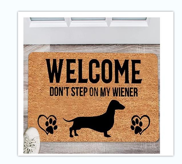 Alfombra de tema de animal americano alfombra de puerta de entrada antideslizante alfombra de entrada de cocina de baño absorbente