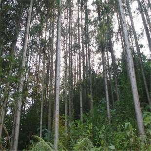 ���羳��؛��������ɼˮɼɳ��N����ɼ����ɼ�ɼ�yɼ�yɼɼ��N