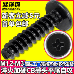 硬質炭素鋼黒色CB十字大平頭平尾タッピングねじ薄頭平頭ねじM2.3/M2.6