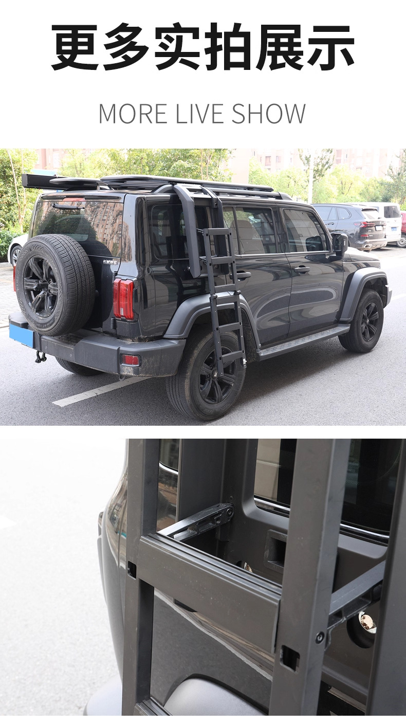 Tank 300/400/500/700 Car Roof Rack Frame Harvard Raptor/H9 Ladder Travel Expansion Platform
