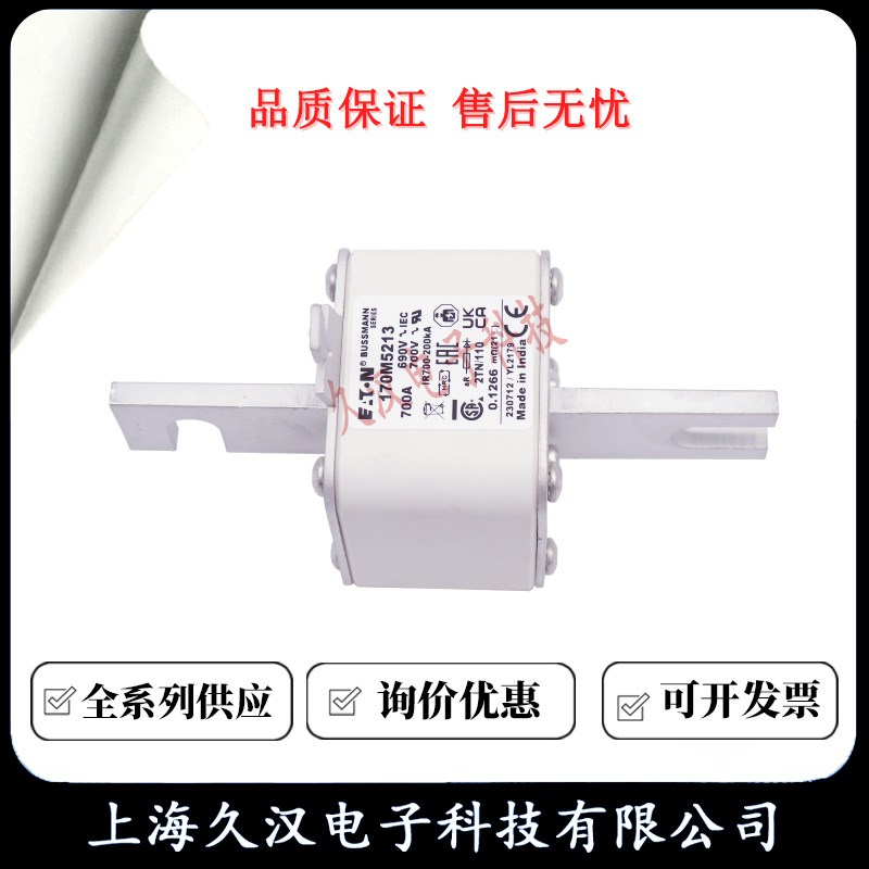 170M5213/5214/5215/5216/5217/5218 BUSSMANN 熔断器 保险丝FUSE