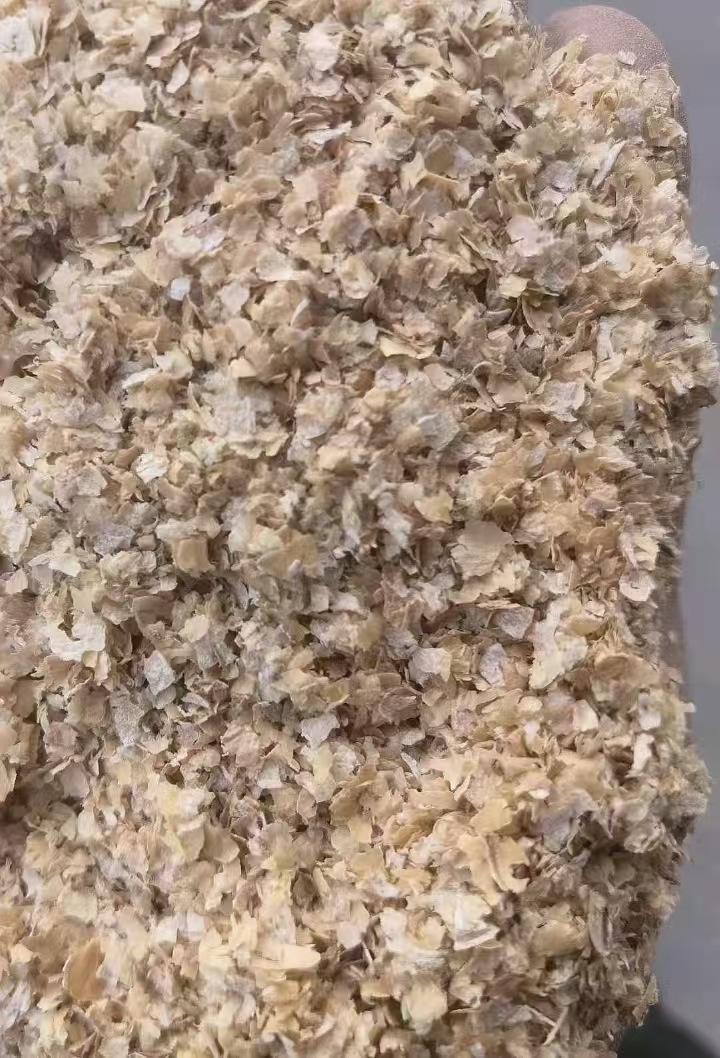 微信图片_20241120142424