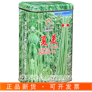 ������Ԫ���������N�Ӹ߮a�p�v�ʸ������G�L���Ǵ��＾�þ��G�