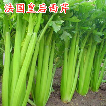 ۲˷Nӷʺ۷Nьğo߲ļ߮aڸк