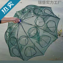 �~�r�\�~�W��W�~�\���r�W�з�\�S�X�\�O�W���~�W���q�\��W�W�t