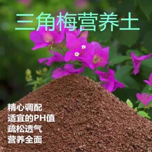 ����÷�I�B���N���B���N��Nֲ���I�B������ͨ���ͷN�����Nֲ��