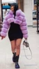 Taro purple