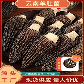 其他干货;黑糖;糖类