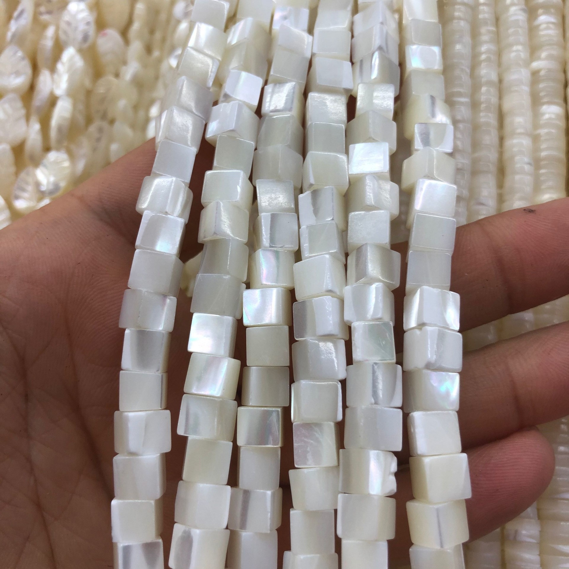 马蹄螺方块-白色2