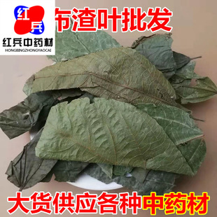 ��ș�� �����~ ���� ������ �Ʋ��~ �鲼�~ ����ă�