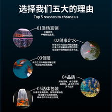 �����~���~���^�p�~�߲����ɟᎧ�������~С�͵�ˮ���B��������֮