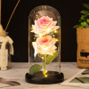 Little Prince glass cover two simulation roses ornaments Creative Christmas Valentine's Day Gift Eternal Life Flower Wholesale