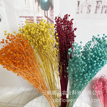 ����DIY�Y�в��� �Ҿ��b廨���F��  ������ɻ���˼���S�����l