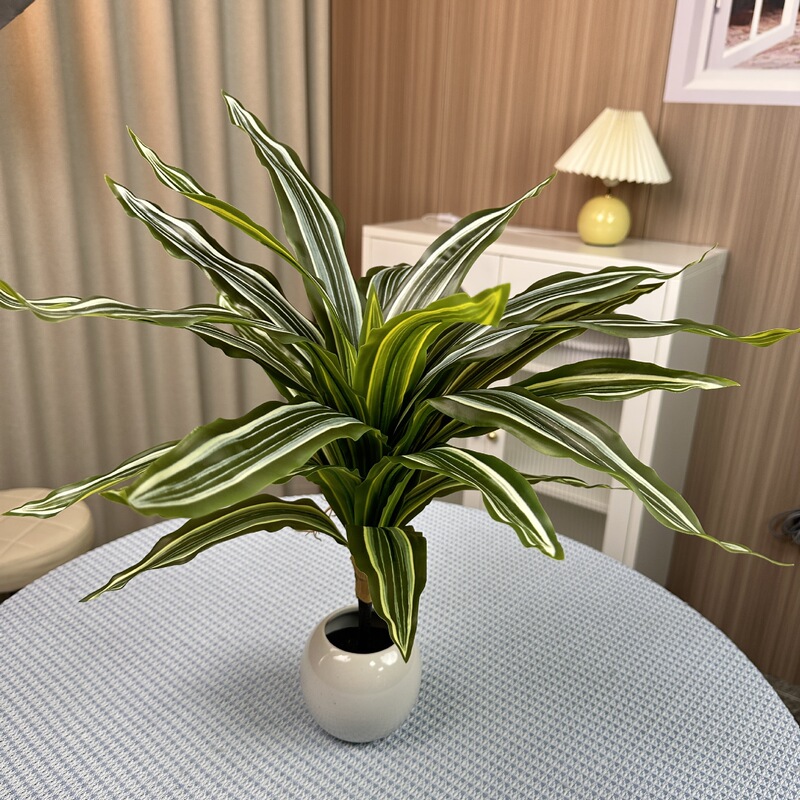 シミュレーション緑植単枝束ブラジル木楡樹葉室内装飾造景竹葵客間装飾シミュレーション植物|undefined