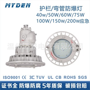 Crane Guardrail Type 40W50W75W High Temperature Resistant Ip65 Anti-Corrosion 36V24V High Power Industrial Factory Floodlight
