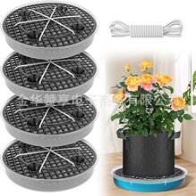 �羳�ظ����ױPֲ�仨�����͸��͸��͸ˮ��ˮ����؉|��ֲ���бP