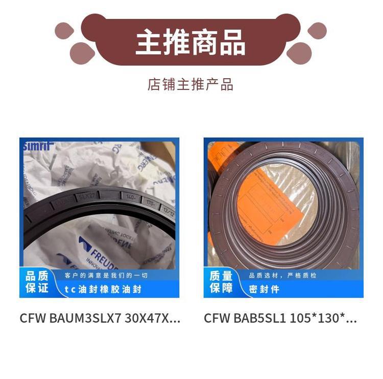 Sog Sealing Oil Seal for Power Plants, Tc Framework, Imported British Standard, High-Temperature Resistant, in Stock