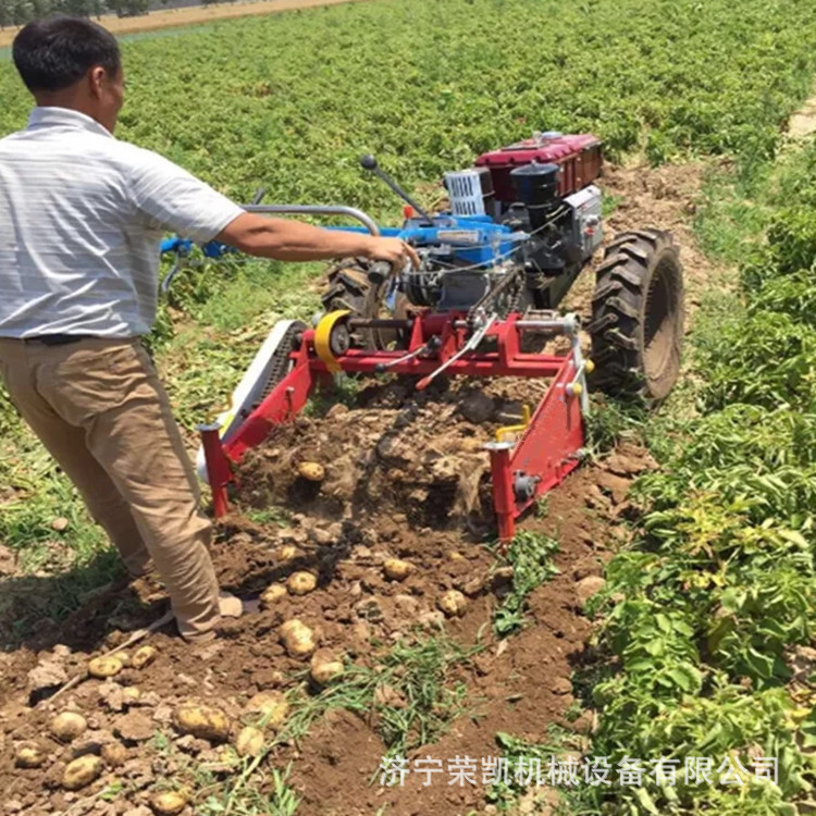 拖拉机传动挖红薯机价格 60-80公分宽洋芋收获机 手扶土豆收割机