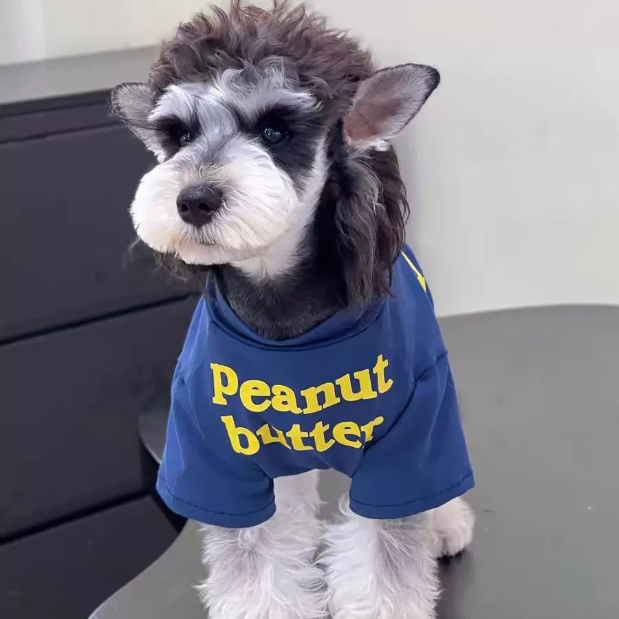 Летняя толстовка для собак, новая тонкая милая толстовка с защитой от падения, маленькая теплая кошка, красивая кошка