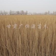 ������һ�������� 5000������������ һ���������繩Ӧ��