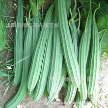 �z�ϷN�� ��ǽz�� �ٹϲ˹���ǽz���ѿ�ϴˢ���߲���z�ϷN��