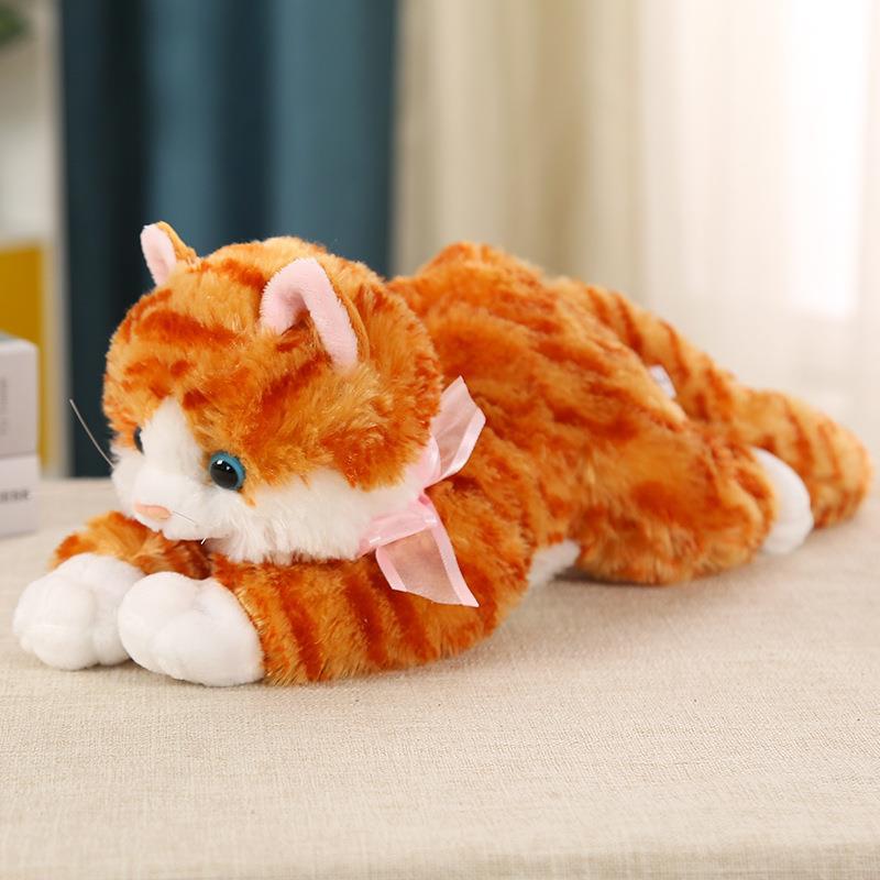 猫の発情玩具公猫専用の下痢|undefined