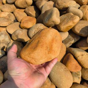 ��Ȼ�SϞʯԭʯ���@ͥԺ�ӵ��~�؇�߅���ּ�ɽ�@�־��^�쾰ʯ