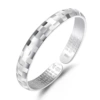 Z133 (Silver Silver)