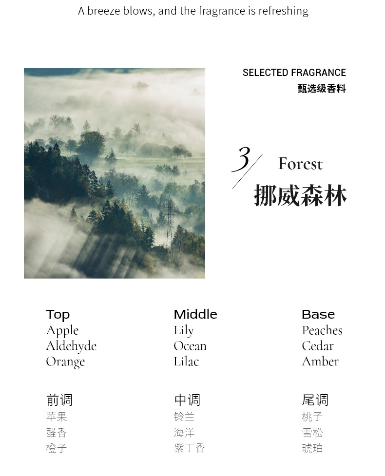 气味档案藤条香薰精油香格里拉液体香氛白桃乌龙木质香香熏伴手礼详情7