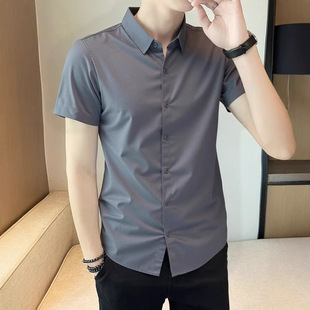 �������z������ʿ�r���ļ������䵭ϵ�߼����r��Ʀ������������ɫ