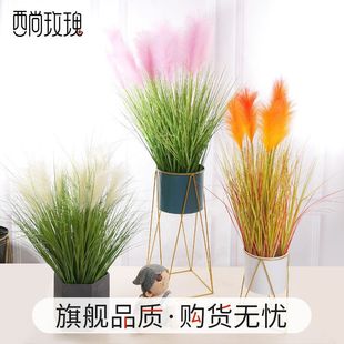 �羳����Gֲ�JȔ��5�^���Wins�L�W�t����JȔ���͏d�[�������b�