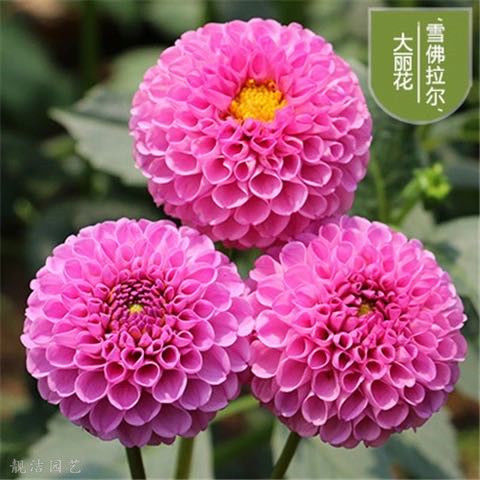 微信图片_20210607113705