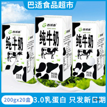 新疆全脂纯牛奶整箱黑砖成人儿童学生营养早餐奶206g*20盒