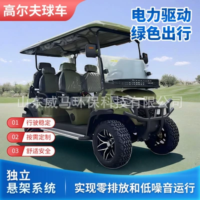 Sightseeing Car, Gaofe Auto Parts and Accessories