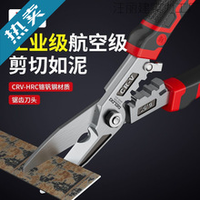 �������FƤ�������I���p����Ǐ������P䓵Č����F�z�􄃾������Q