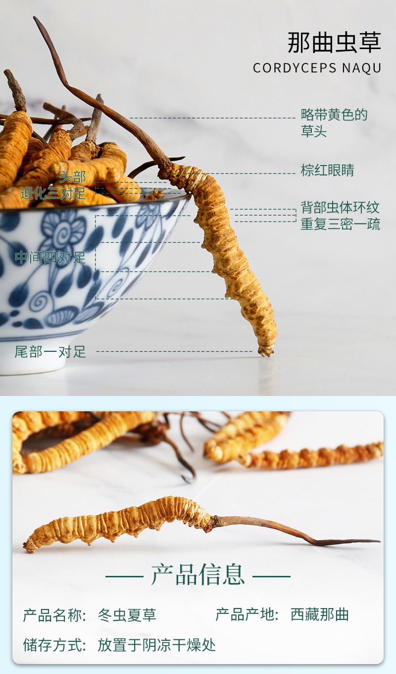 Dried Cordyceps Sinensis Dong Chong Xia Cao Whole Caterpillar Fungus Tibetan Nagqu Wild-Harvested Tonic Herb for Cooking and Decoction quality and texture