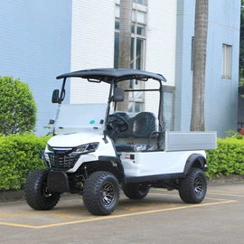 电动观光车;高尔夫球车;工具车