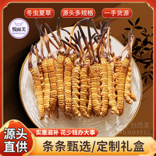 ���x�Ĳݸ�؛���l�|ꖹ��x�����B�x�ݸ�؛�Y���ͶY���a�ݾ�