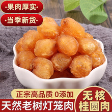 桂圆干中药材批发干元肉无核即食龙眼肉泡茶水煲汤博白桂圆肉500g
