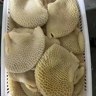 ���X�� �����Cţ��20��/�����a���X��ţ��ţ�s��ˮ�Ƀ���������