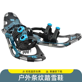 登山/滑雪杖;野营折叠桌椅;其他滑雪用品